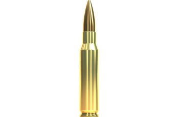 308 WIN. HPBT